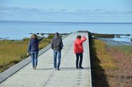 Urlaub Friedrichskoog-Spitze Ferienwohnung 163760 privat