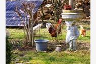 Urlaub Breesen Ferienwohnung 163862 privat