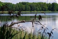 Urlaub Cottbus Hotel 163885 privat