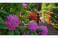 Urlaub Bad Liebenstein OT Schweina Ferienwohnung 164102 privat