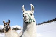 Urlaub Wattenberg Hütte 164570 privat