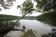 Urlaub Ferienwohnung Ferienwohnungen direkt an der Havel-Wasser-Straße (21993)