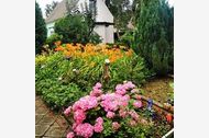 Urlaub Barth Ferienhaus 22413 privat