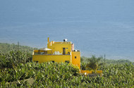 Urlaub Ferienwohnung Finca La Cruz