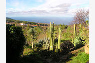 Urlaub Las Tricias Ferienhaus 23002 privat