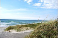 Urlaub Kloster/Insel Hiddensee Ferienwohnung 23093 privat