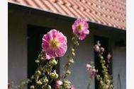Urlaub Quilitz Ferienwohnung 24041 privat