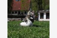  Unterkunft Objektbild
