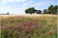 Urlaub Vitte/Insel Hiddensee Ferienwohnung 24666 privat