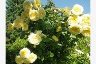 Urlaub Zinnowitz (Seebad) Ferienwohnung 30746 privat
