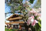 Urlaub Schliersee Ferienwohnung 32033 privat