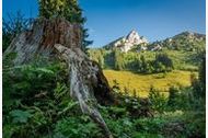 Urlaub Ferienwohnung Gästehaus Lesch, Kreuth-Riedlern