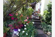 Urlaub Insel Poel (Ostseebad) OT Kirchdorf Ferienhaus 34632 privat
