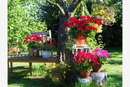 Urlaub Bodstedt Ferienwohnung 36024 privat