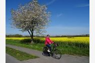 Urlaub Ferienwohnung Ferienwohnung Am Schloßteich (Braun)