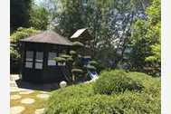 Urlaub Wald-Michelbach-Unter-Schönmattenwag Ferienwohnung 36631 privat