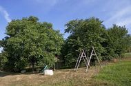 Urlaub Erbach im Odenwald-Elsbach Ferienwohnung 37486 privat