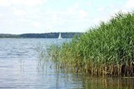 Urlaub Sundhagen OT Brandshagen Ferienwohnung 37657 privat