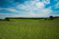 Urlaub Zirchow Ferienwohnung 37980 privat
