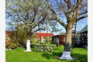 Urlaub Malchow Ferienhaus 38224 privat