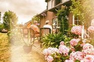 Urlaub Ahrenshoop (Ostseebad) Pension-Gästehaus 38397 privat