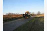 Urlaub Vitte/Insel Hiddensee Ferienwohnung 41650 privat