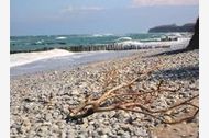 Urlaub Ferienwohnung An der Schmiedestraße Strandläufer