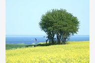 Urlaub Schönhagen (Ostseebad) Ferienwohnung 44998 privat