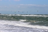 Urlaub Ferienwohnung STRANDFLIEDER App Nr 05 max 3 Pers