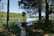 Urlaub Korkeakoski Ferienwohnung 46290 privat