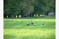 Urlaub Neetzow Hotel 48151 privat