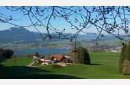 Urlaub Tiefgraben am Mondsee Ferienhaus 48788 privat