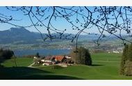 Urlaub Tiefgraben am Mondsee Ferienhaus 48788 privat