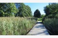 Urlaub Zell am Moos am Irrsee Ferienwohnung 48845 privat