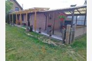 Urlaub Zempin (Seebad) Ferienwohnung 51741 privat