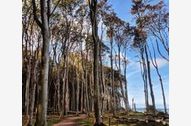 Urlaub Nienhagen (Ostseebad) Ferienwohnung 53573 privat