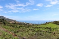 Urlaub St. Cruz de La Palma Ferienhaus 54668 privat