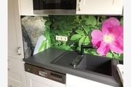 Urlaub Ferienwohnung Heiderose (Rist)