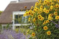 Urlaub Karlshagen (Ostseebad) Ferienwohnung 56256 privat