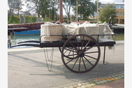 Urlaub Büsum Ferienwohnung 57296 privat