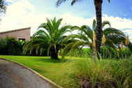 Urlaub Ariany Ferienwohnung 57540 privat