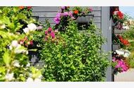 Urlaub Sassnitz auf Rügen Ferienwohnung 58208 privat