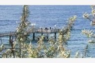 Urlaub Rerik (Ostseebad) Ferienhaus 60674 privat