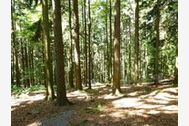 Urlaub Arrach Ferienwohnung 61125 privat