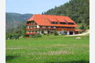 Urlaub Elzach Ferienwohnung 61908 privat