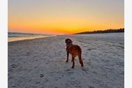 Urlaub Ferienwohnung Appartementhaus Zingst - Urlaub zwischen Meer & Bodden