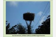 Urlaub Borrentin Ferienwohnung 63564 privat