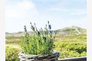 Urlaub Kampen/Sylt Ferienwohnung 63767 privat