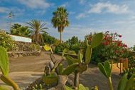 Urlaub Puerto Naos Bungalow 64493 privat