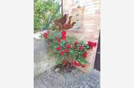 Urlaub Fritzlar Ferienwohnung 69039 privat